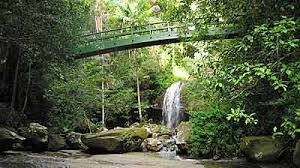 Pest control in Grange