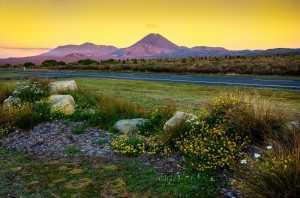 New Zealand