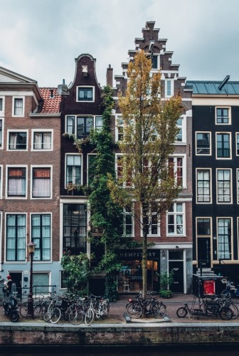 become a host family Netherlands